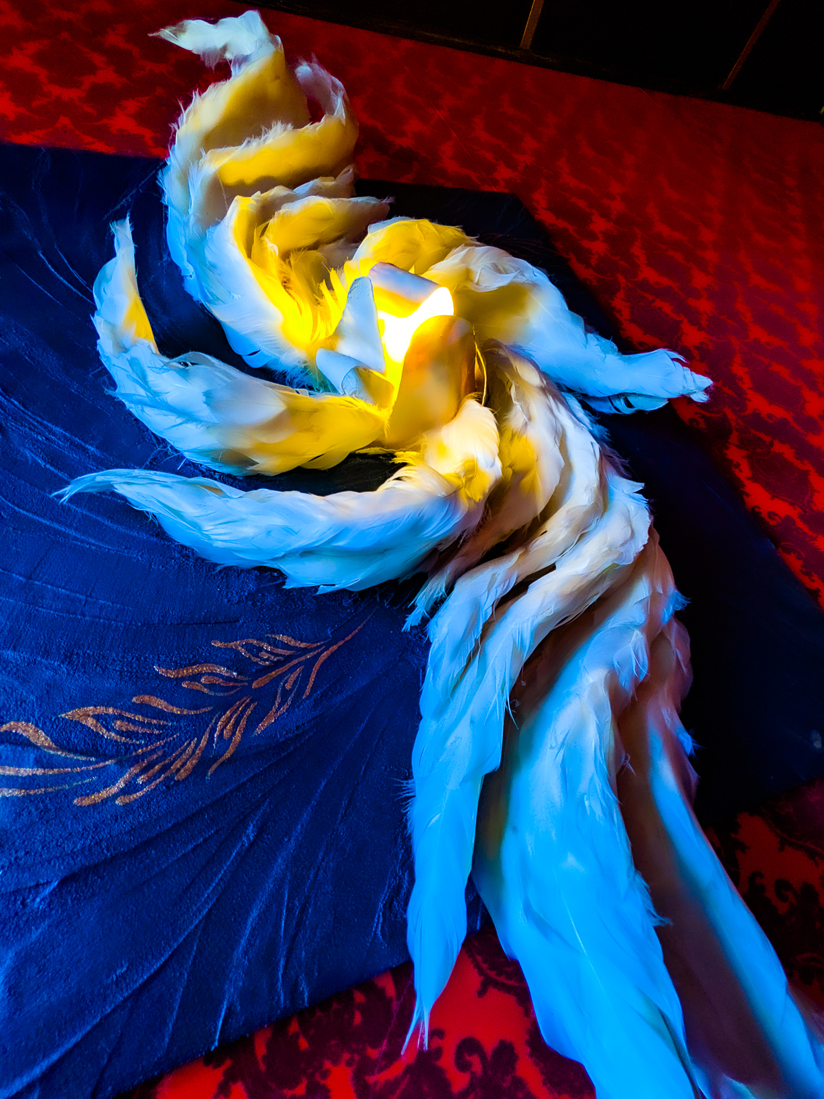 PXL 20201124 203318062