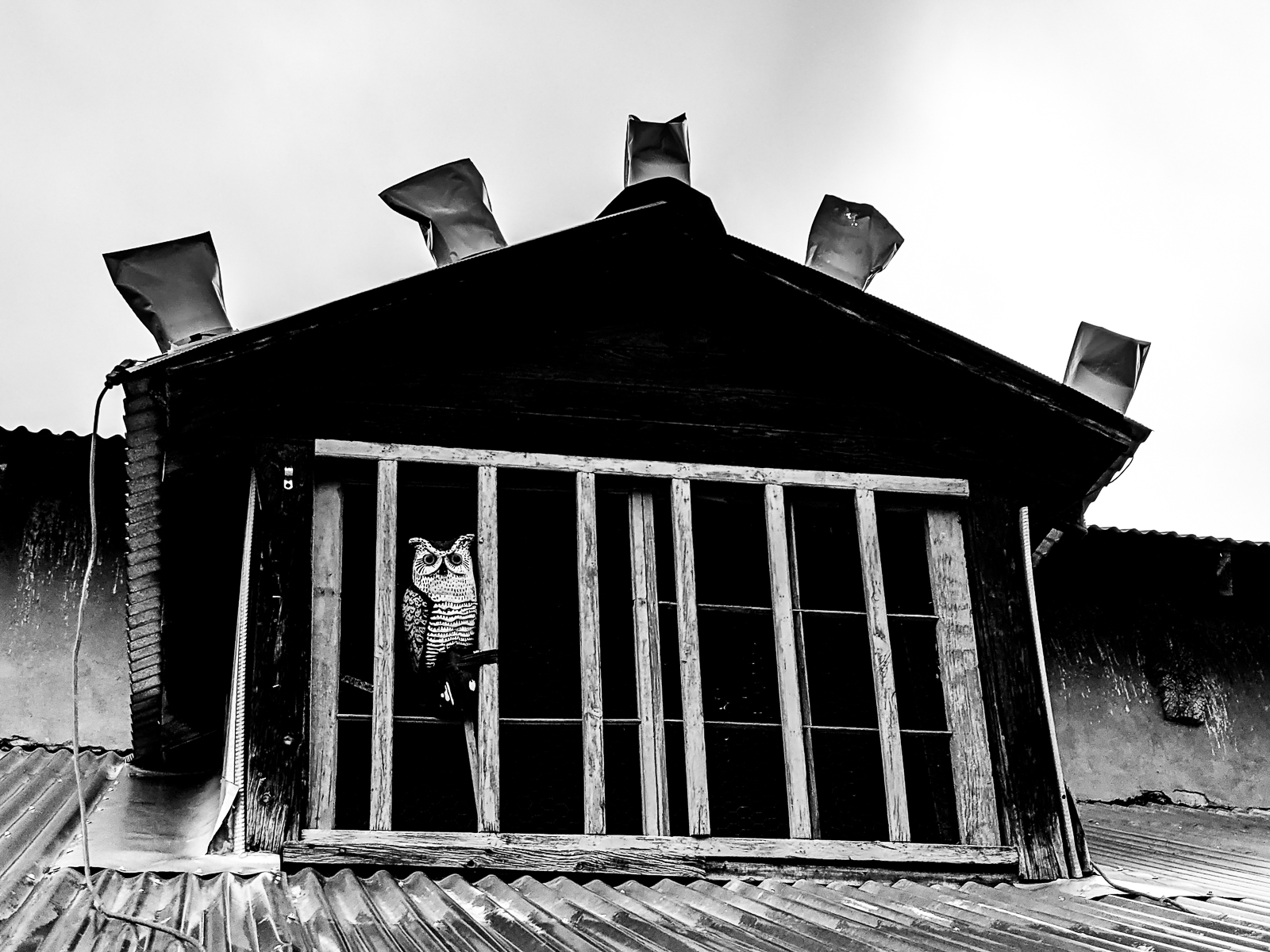 PXL 20201127 165704279