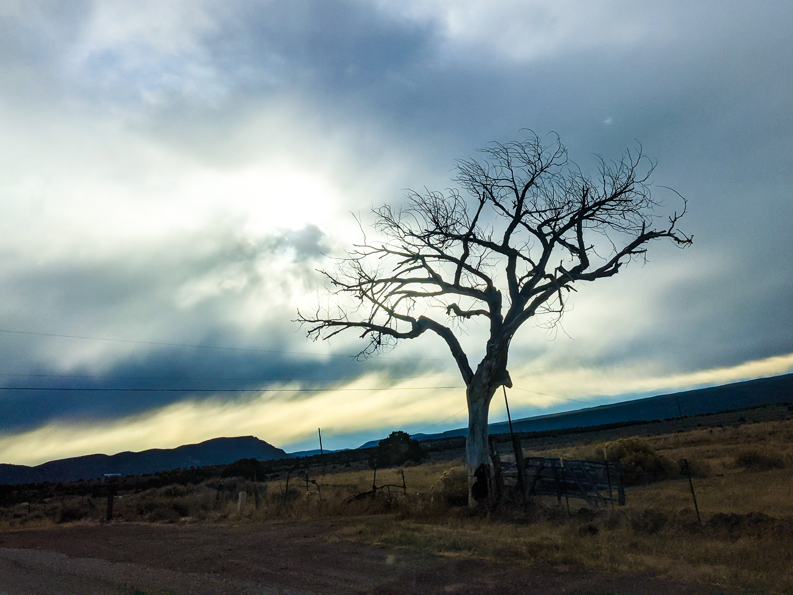 PXL 20201127 221618904