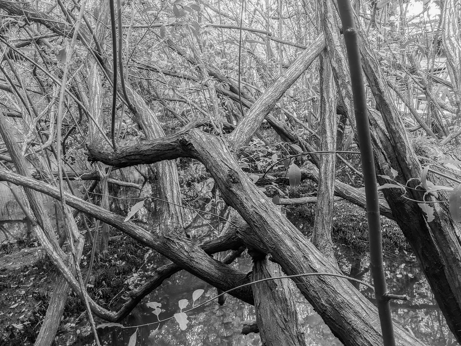 PXL 20201227 194235501